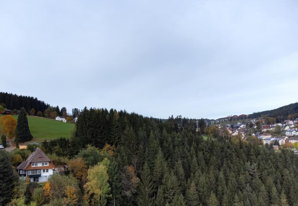 Exklusives Ferienhaus Am Waldrand Mit Whirlpool Und Sauna Villa Schonach im Schwarzwald Eksteriør bilde